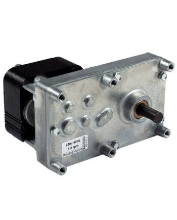 Sneglmotor Lory Delia Karen Gaida